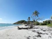 Location de particuliers � particuliers La Villa du Moulin superbes chambres d'hotes Chambres d'hotes Guadeloupe photo 3