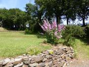 Location de particuliers � particuliers G�te au calme avec terrasse et jardin, proche de Perros Guirec, 10 minutes mer, ANCV accept� G�te C�tes d'Armor photo 5