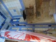 Location de particuliers � particuliers G�te pr�serv� en pleine Nature  G�te Lot photo 9