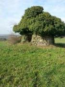 Location de particuliers � particuliers G�te au calme vue sur les collines  G�te Lot photo 12