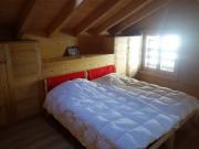 Location de particuliers � particuliers Grand Appartement � Morzine-Avoriaz Location saisonni�re Haute Savoie photo 7