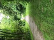 Location de particuliers � particuliers L'abreuvoir de riviere, parc d'1 ha, �tang  G�te Somme photo 10