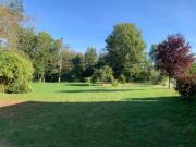 Location de particuliers � particuliers L'abreuvoir de riviere, parc d'1 ha, �tang  G�te Somme photo 11