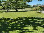 Location de particuliers � particuliers Gite au pied de l'�tang de baye et du canal du Nivernais  G�te Ni�vre photo 5