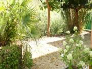 Location de particuliers � particuliers Joli G�te � 5 mn en voiture de la mer Bormes les Mimosas Location saisonni�re Var photo 14