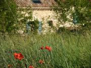 Location de particuliers � particuliers Mas d'Espeluche G�te Dr�me photo 11