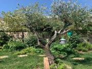 Location de particuliers � particuliers Maison neuve entre Paris et Versailles  Location saisonni�re Haut de seine photo 6