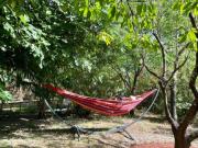 Location de particuliers � particuliers L'Oustaloise Chambres d'hotes H�rault photo 2
