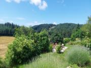 Location de particuliers � particuliers Chambres d'h�tes La Grange de Sagne Chambres d'hotes Ard�che photo 3