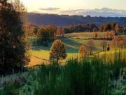 Location de particuliers � particuliers Cottage la Bessade, class� Natura 2000, vall�e de la Dordogne G�te Corr�ze photo 8