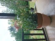 Location de particuliers � particuliers Cottage Saint Martin Chambres d'hotes Sa�ne et Loire photo 2
