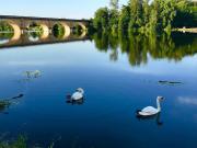 Location de particuliers � particuliers LE LION DOR, cabanes de charme avec SPA privatif Location insolite Dordogne photo 13