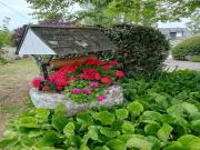 Location de particuliers � particuliers Maison de caract�re � Loctudy, bord de mer Location saisonni�re Finist�re photo 15