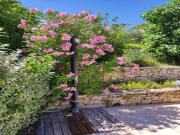 Location de particuliers � particuliers Maison 3 * sur RUSTREL dans le LUBERON - COLORADO PROVEN�AL G�te Vaucluse photo 9