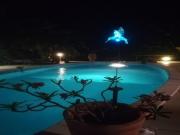 Location de particuliers � particuliers Gite KAZ A LILINE grande piscine chauff�e, et jardin tropical arbor� et fleuri enti�rement clos parking priv� G�te Guadeloupe photo 15