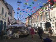Location de particuliers � particuliers Chambres d'hotes de Dompierre Chambres d'hotes Pas de Calais photo 11
