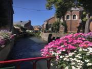Location de particuliers � particuliers Chambres d'hotes de Dompierre Chambres d'hotes Pas de Calais photo 12