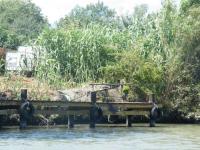 Location de particuliers � particuliers gite 8 personnes Saint Gilles du Gard G�te Gard photo 5