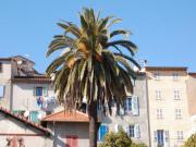 Location de particuliers � particuliers  la fontaine pr�s de Grasse � petit prix Chambres d'hotes Alpes maritimes photo 15