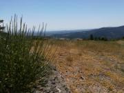 Location de particuliers � particuliers CHEZMARY, petit village d'Ard�che verte Chambres d'hotes Ard�che photo 5