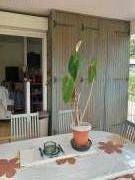 Location de particuliers � particuliers Charmant appartement F4 sur la Martinique Location saisonni�re Martinique photo 3