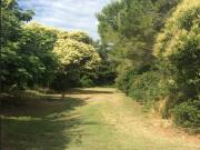 Location de particuliers � particuliers Villa Romaine, au pied des Alpilles Location saisonni�re Bouches du rh�ne photo 3