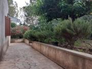 Location de particuliers � particuliers Villa Romaine, au pied des Alpilles Location saisonni�re Bouches du rh�ne photo 9