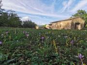 Location de particuliers � particuliers G�te douillet dans vieux mas, au c�ur du parc national des C�vennes G�te Gard photo 11