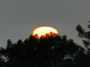 Location de particuliers � particuliers G�te douillet dans vieux mas, au c�ur du parc national des C�vennes G�te Gard photo 12