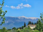 Location de particuliers � particuliers En Provence g�te la Muscadelle G�te Vaucluse photo 14