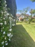 Location g�te, chambres d'hotes Maison campagne piscine Gers pr&egrave;s de Marciac  dans le d�partement Gers 32