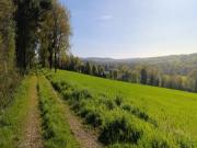 Location de particuliers � particuliers G�te Le Breizhannais, plain-pied, entr�e et parking privatif G�te Ille et Vilaine photo 10