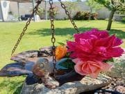 Location de particuliers � particuliers GITE DE CHARME, climatis� avec piscine en Provence G�te Vaucluse photo 4
