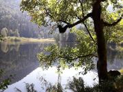 Location de particuliers � particuliers CHALET A LOUER VOSGES ANOULD Location saisonni�re Vosges photo 13