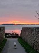 Location de particuliers � particuliers Location,Ile aux Moines,Vue Mer,Golfe Morbihan Location saisonni�re Morbihan photo 2