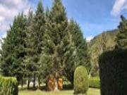 Location de particuliers � particuliers La Sapini�re � Jules � Chalet 4*; climatis�, charme et confort dans les Vosges Chalet Vosges photo 4