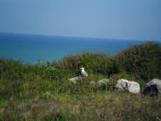 Location de particuliers � particuliers Gite les colombes en Normandie � 15 minutes de la mer G�te Seine Maritime photo 13