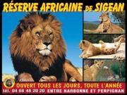 Location de particuliers � particuliers Le Mieukerien� : R�serve africaine 15 mn/plage 200 m Location saisonni�re Aude photo 12