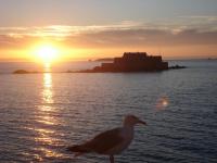 Location de particuliers � particuliers SAINT-MALO ap T2 TB VUE/MER devant plage du sillon Location saisonni�re Ille et Vilaine photo 3