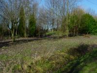 Location de particuliers � particuliers Chambres d'h�tes du Boenewal dans le nord, pr�s de Bergues Chambres d'hotes Nord photo 9