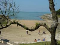 Location de particuliers � particuliers Maison (4*)Royan,400m plage,100m commerces Location saisonni�re Charente maritime photo 9