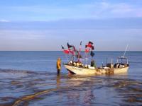 Location de particuliers � particuliers Village vacances 16 chalets bord de mer -wifi Chalet Seine Maritime photo 12