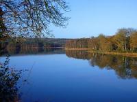 Location de particuliers � particuliers  G�te for�t de Broc�liande,vue sur le Lac G�te Ille et Vilaine photo 9