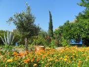 Location de particuliers � particuliers La Villa Fleur de Sel,  La Palme,leucate (Aude), proche Leucate la Franqui, Sigean, et Narbonne Chambres d'hotes Aude photo 6