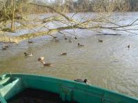Location de particuliers � particuliers Gite Le Martin p�cheur G�te Yonne photo 9