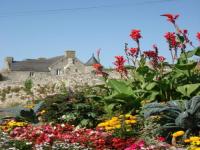 Location de particuliers � particuliers chambre d'h�tes Aux Lavandes � Agon-Coutainville Chambres d'hotes Manche photo 8